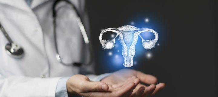 Reproductive system issues medical concept. Photo of female doctor, empty space.